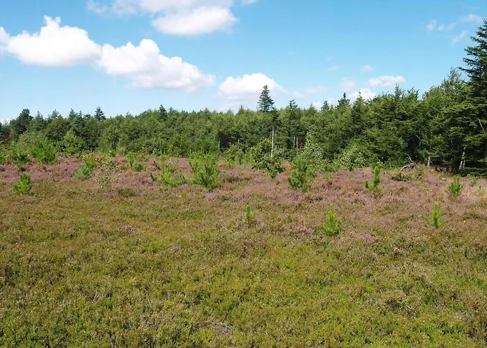 C11238-hemmet-sutskoen-4 펜션 Hemmet